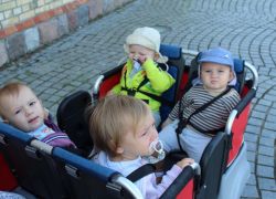 IMG 0417.JPG