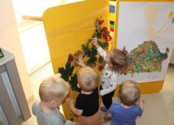 IMG 0461.JPG