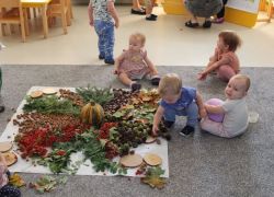 IMG 0474.JPG