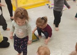 IMG 20250411 090726