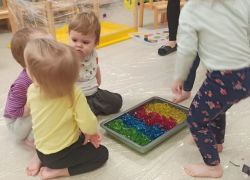 IMG 20250411 090817