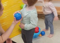 IMG 20250411 091527
