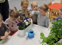 IMG 2699.JPG