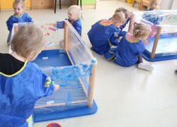 IMG 2826.JPG