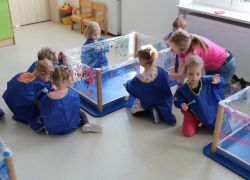 IMG 2827.JPG