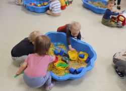 IMG 2935.JPG