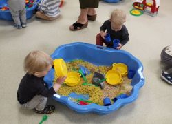 IMG 2941.JPG