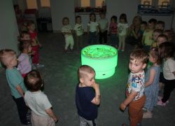 IMG 3753.JPG