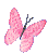 motylek