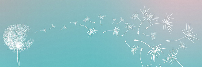 Imageslider Header
