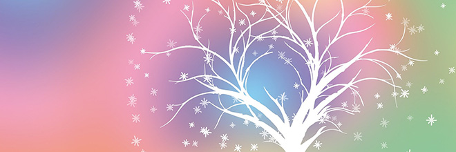 Imageslider Header
